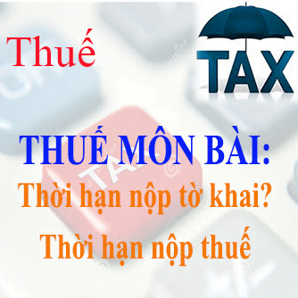 Những tờ khai Thuế nộp trong năm của công ty thue-mon-bai các loại Thuế