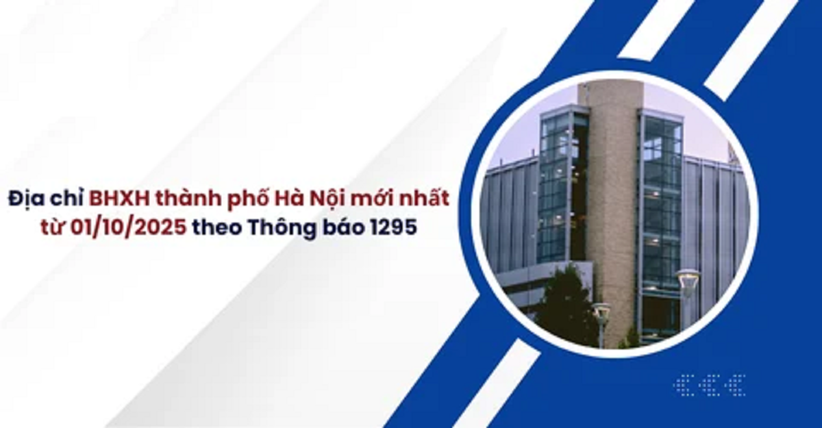 26 cơ sở BHXH mới nhất từ 01/10/2025 BHXH cơ sở tại TP Hà Nội cơ sở BHXH TP từ 1/10/2025